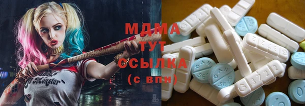 шишки Горняк