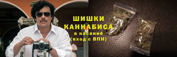 гидропоника Горнозаводск