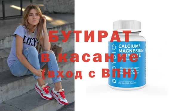 шишки Горняк