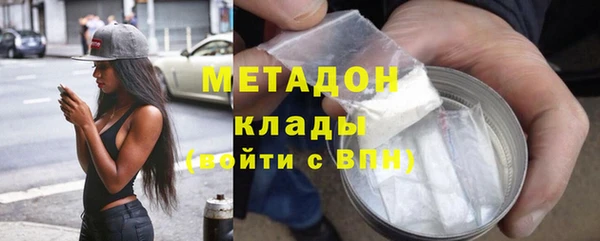 шишки Горняк