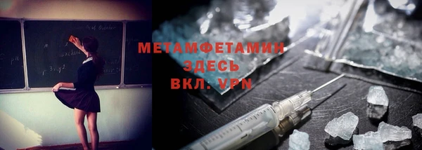 шишки Горняк