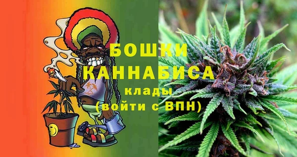 шишки Горняк