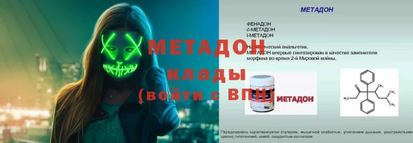 шишки Горняк