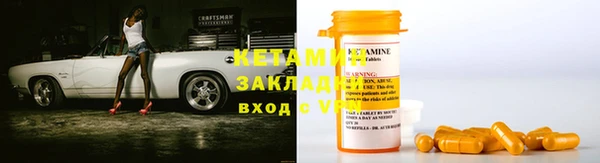 шишки Горняк