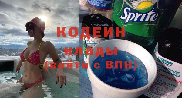 шишки Горняк