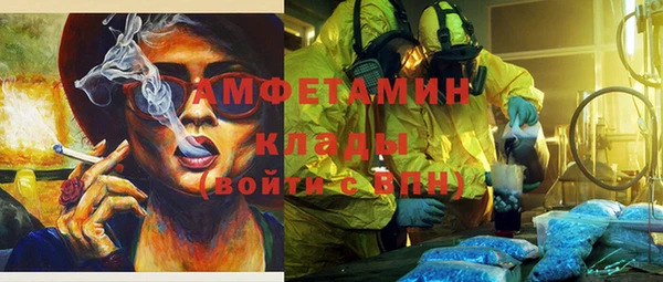 шишки Горняк