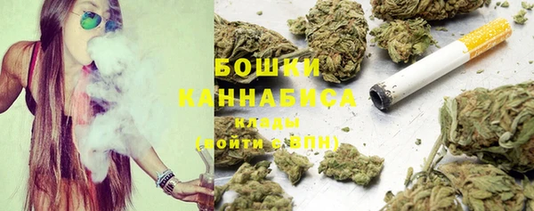 шишки Горняк
