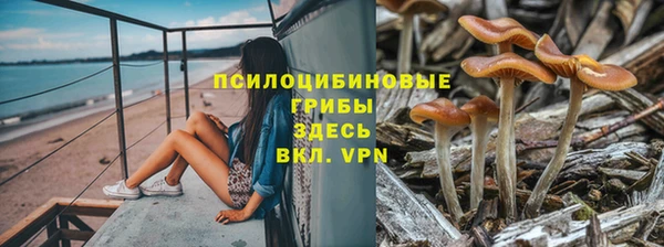гидропоника Горнозаводск