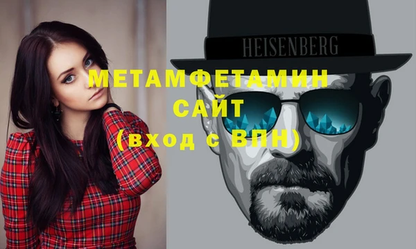 шишки Горняк
