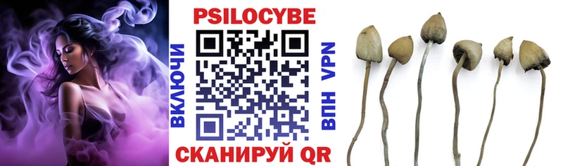Галлюциногенные грибы Cubensis Купить Сольцы